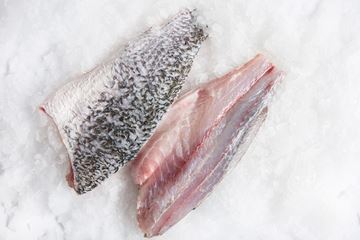 Picture of BARRA FILLETS LRG FRESH - CORAL COAST QLD