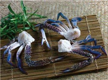 Picture of BLUE SWIMMER CRAB HALF CUT FROZEN