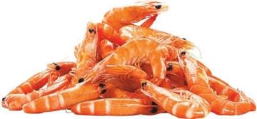 Picture of COOKED PRAWN VANEMEI U/15