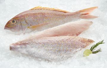 Picture of GOLD BAND SNAPPER FILLETS