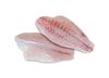 Picture of NILE PERCH FILLETS (FROZEN)