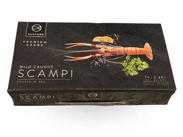 Picture of NZ SCAMPI NO 2