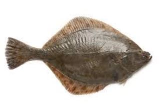 Picture of NEW ZEALAND WHOLE FLOUNDER 300-400gm   10KG