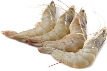 Picture of WHOLE RAW BANANA PRAWN 10/15