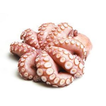 Picture of FROZEN LOCAL OCTOPUS MED