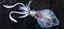 Picture of FRESH CALAMARI