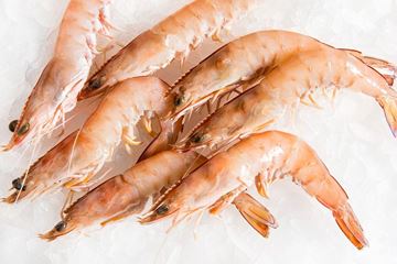Picture of WHOLE GREEN PRAWNS U/10