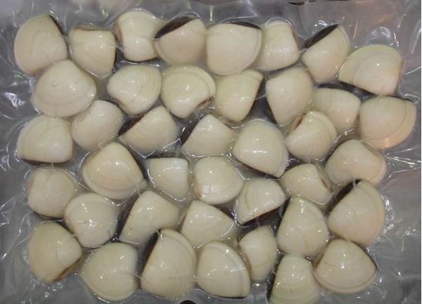 Picture of VIET CLAMS