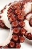 Picture of SOUTH AUSTRALIAN OCTOPUS (TENDERISED)