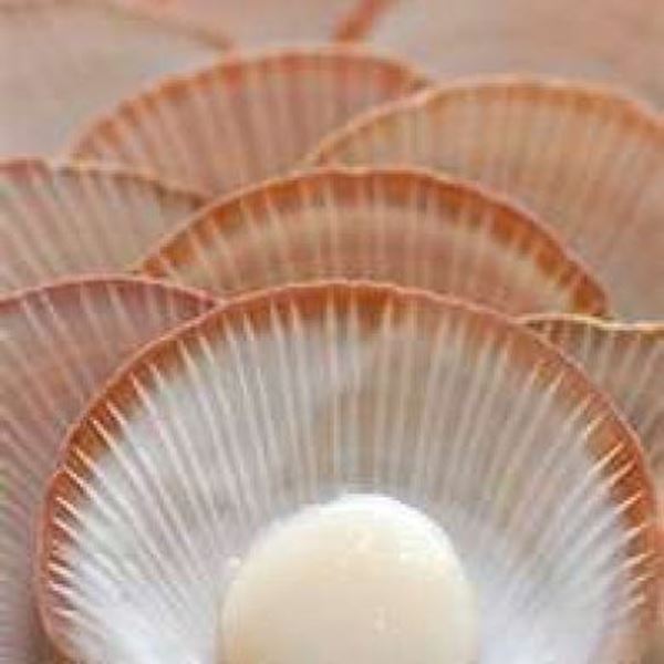 Picture of HARVEY BAY SCALLOPS 1/2 SHELL MED