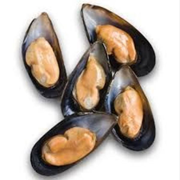 Picture for category Shellfish