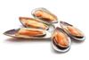 Picture of MUSSELS N.Z. 1/2 SHELLS