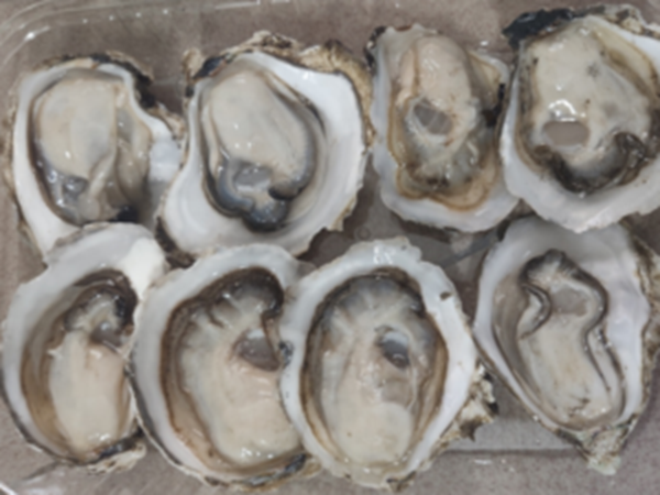 Picture of FROZEN OYSTERS HALF SHELL