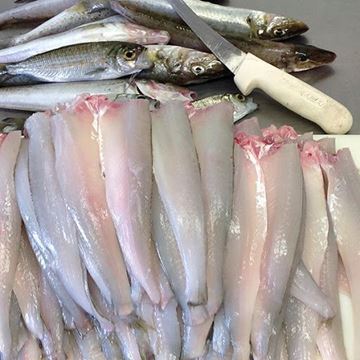 Picture of K G WHITING FILLETS FRESH