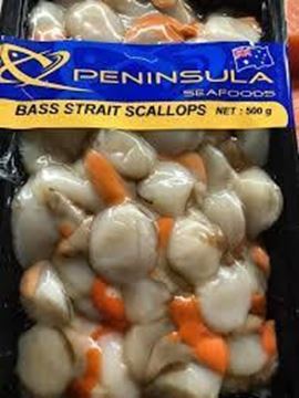 Picture of SCALLOPS LOCAL FROZEN