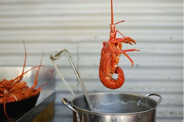 Picture of FRESH COOKED CRAYFISH