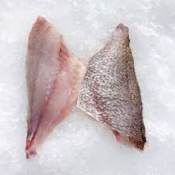 Picture of SNAPPER FILLETS