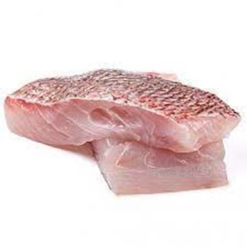 Picture of SNAPPER PORTIONS