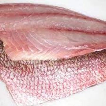 Picture of RUBY SNAPPER FILLETS