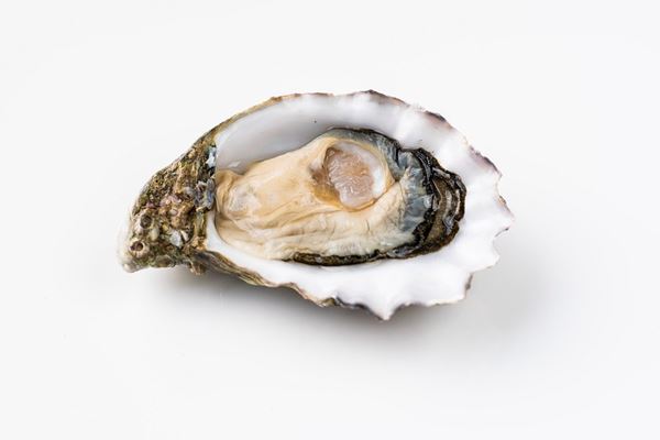 Picture for category Oysters