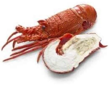 Picture of 1/2 CUT CRAYFISH COOKED IMPORTED