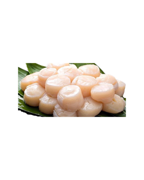 Picture of 10/20 SCALLOPS ROE OFF IMPORTED