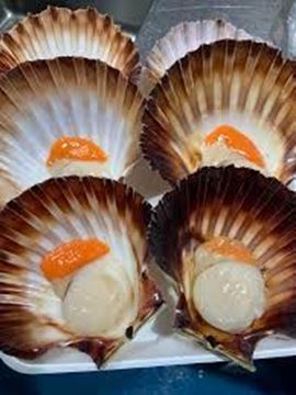 Picture of SCALLOPS LOCAL 1/2 SHELL FROZEN