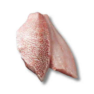 Picture of RED SNAPPER FILLETS