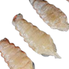 Picture of IMPORTED BUG MEAT