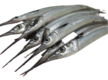 Picture of WHOLE GARFISH