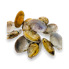 Picture of FROZEN SHORT NECK CLAMS  500GM