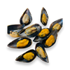 Picture of BLUE MUSSELS 1/2 SHELL  1KG