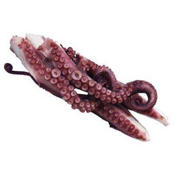 Picture of SOUTH AUST OCTOPUS TENTACLES