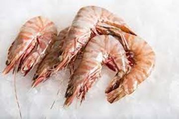Picture of FARMED TIGER WHOLE GREEN PRAWNS U/10