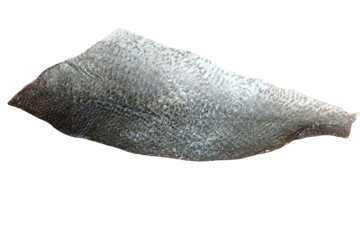 Picture of MULLAWAY FILLETS