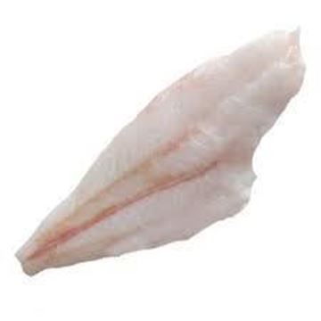 Picture of ORANGE ROUGHY FROZEN FILLETS