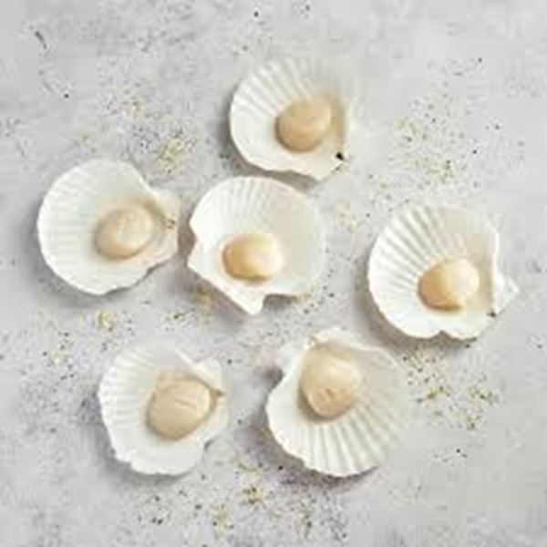 Picture of SCALLOP 1/2 SHELL JAPANESE