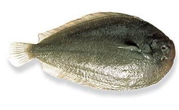 Picture of NEW ZEALAND WHOLE LEMON SOLE